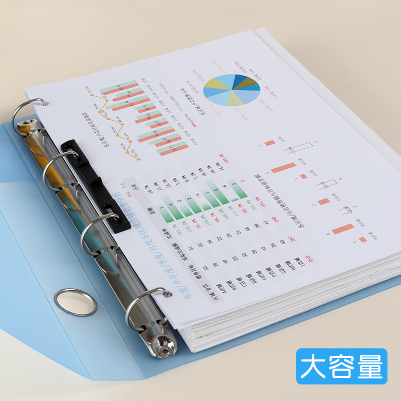 Raccoglitore per punzonatura A - Binder A4 Lever recensione e prezzo