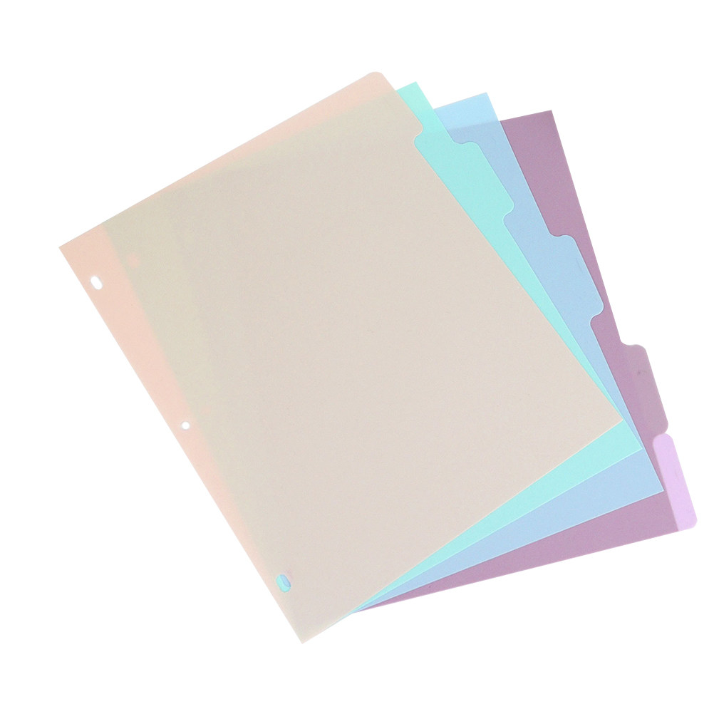 1 Set di Divisori in Plastica  - Tab Divider A4 recensione e prezzo