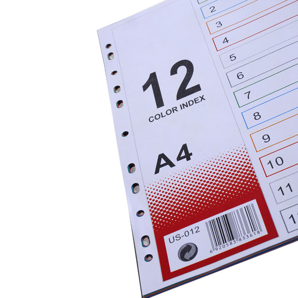 2 Pezzi di Ricambi per Divisor - Tab Divider A4 recensione e prezzo